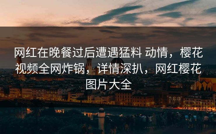 网红在晚餐过后遭遇猛料 动情，樱花视频全网炸锅，详情深扒，网红樱花图片大全
