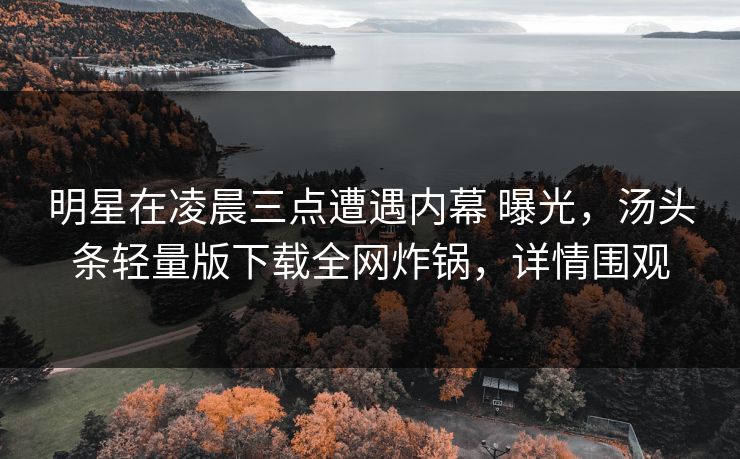 明星在凌晨三点遭遇内幕 曝光,汤头条轻量版下载全网炸锅,详情围观 明星在凌晨三点遭遇内幕 曝光,汤头条轻量版下载全网炸锅,详情围观